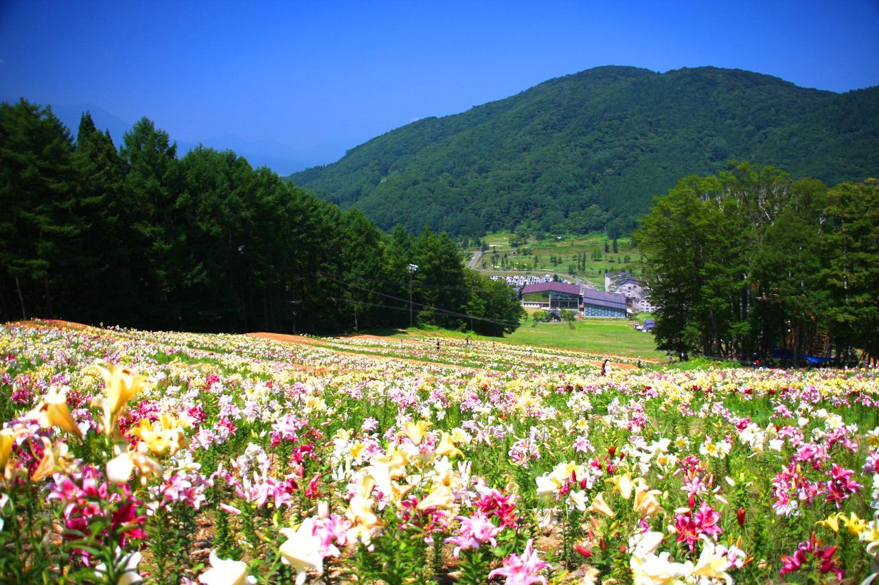 Hotel Harvest Madarao Shinano  ภายนอก รูปภาพ
